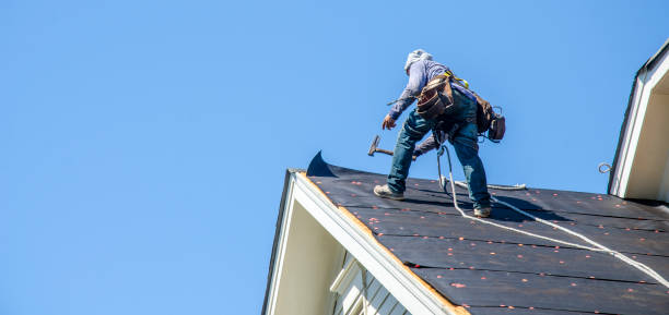 Best Emergency Roof Repair  in Berryville, VA